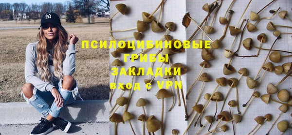 бошки Армянск